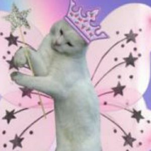 Meet your Posher, Landyn